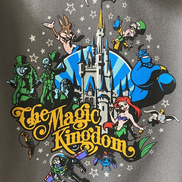 Disney Parks the Magic Kingdom Hoodie rare Walt Disney World original sz M grey - Picture 4 of 7